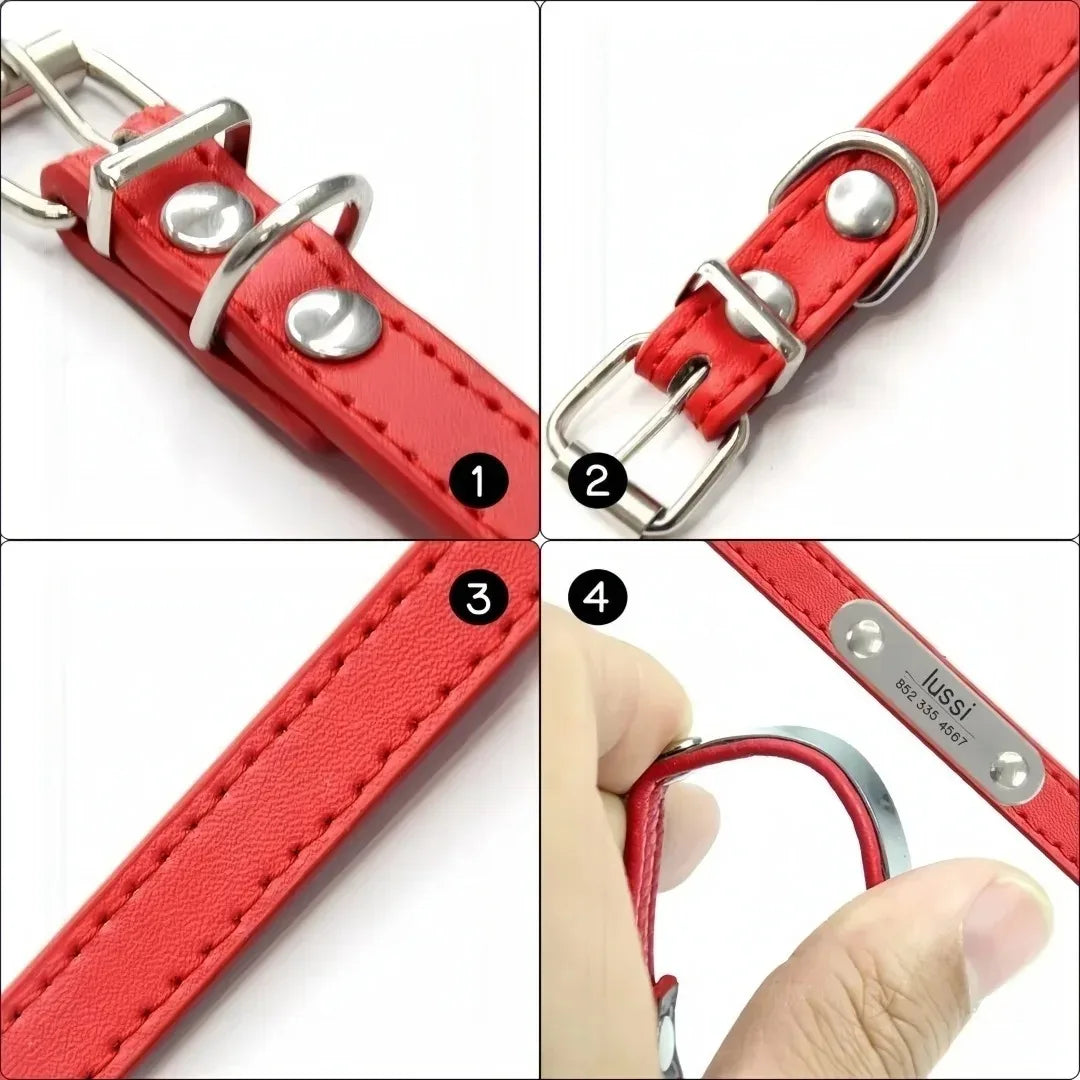 Pawlio Personalised Leather Dog Collar with ID Tag