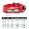 Pawlio Personalised Leather Dog Collar with ID Tag