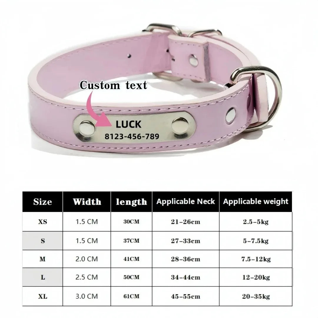 Pawlio Personalised Leather Dog Collar with ID Tag