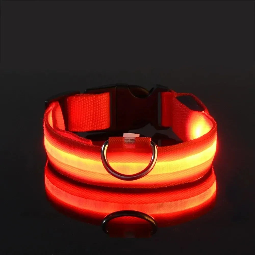 Pawlio LED Safety Dog Leash — Be Seen on Night Walks