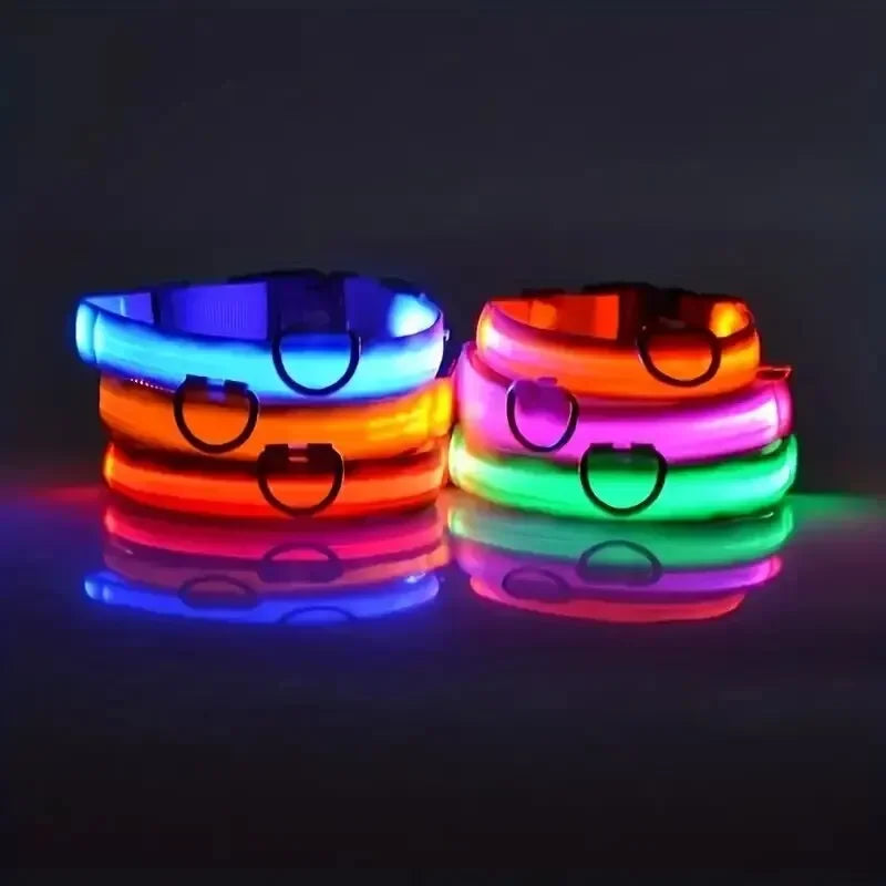 Pawlio LED Safety Dog Leash — Be Seen on Night Walks