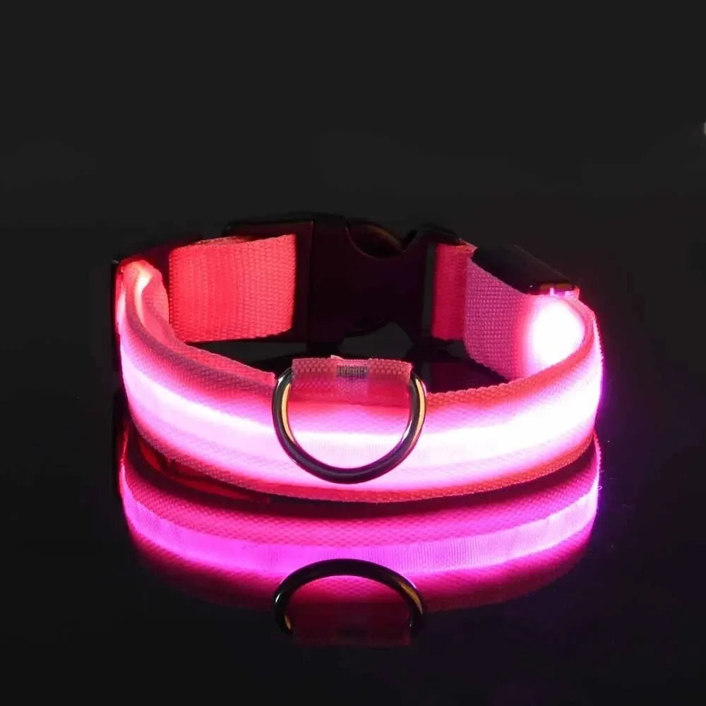 Pawlio LED Safety Dog Leash — Be Seen on Night Walks