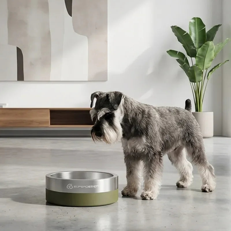 Pawlio Non-Slip Stainless Steel Dog Bowl