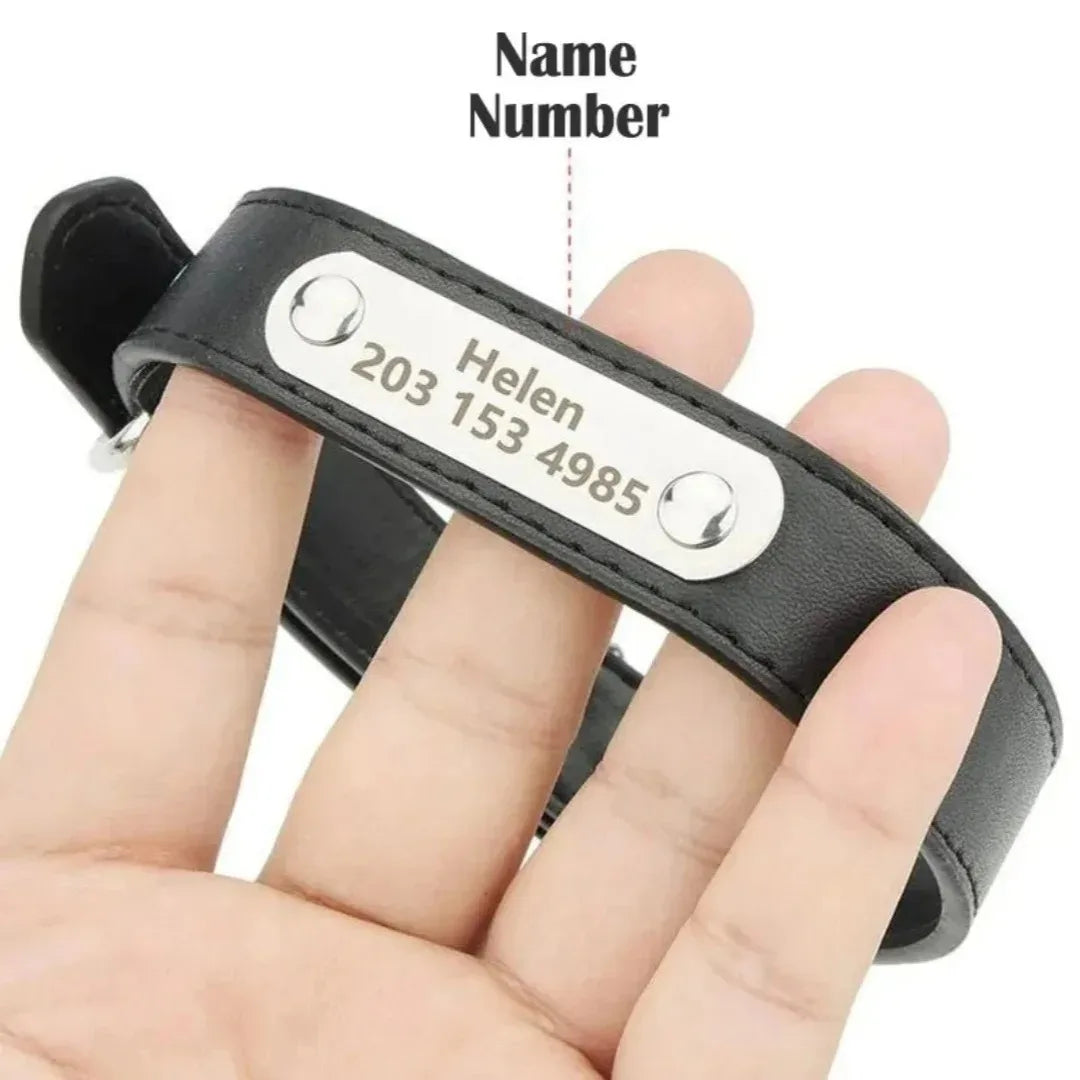 Pawlio Personalised Leather Dog Collar with ID Tag