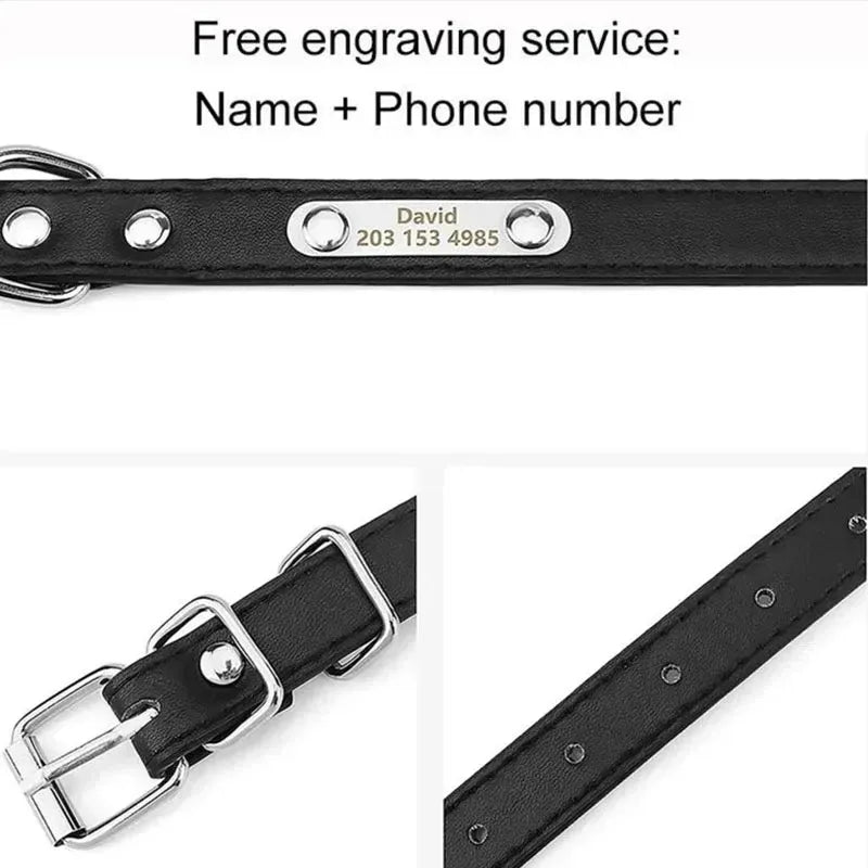 Pawlio Personalised Leather Dog Collar with ID Tag