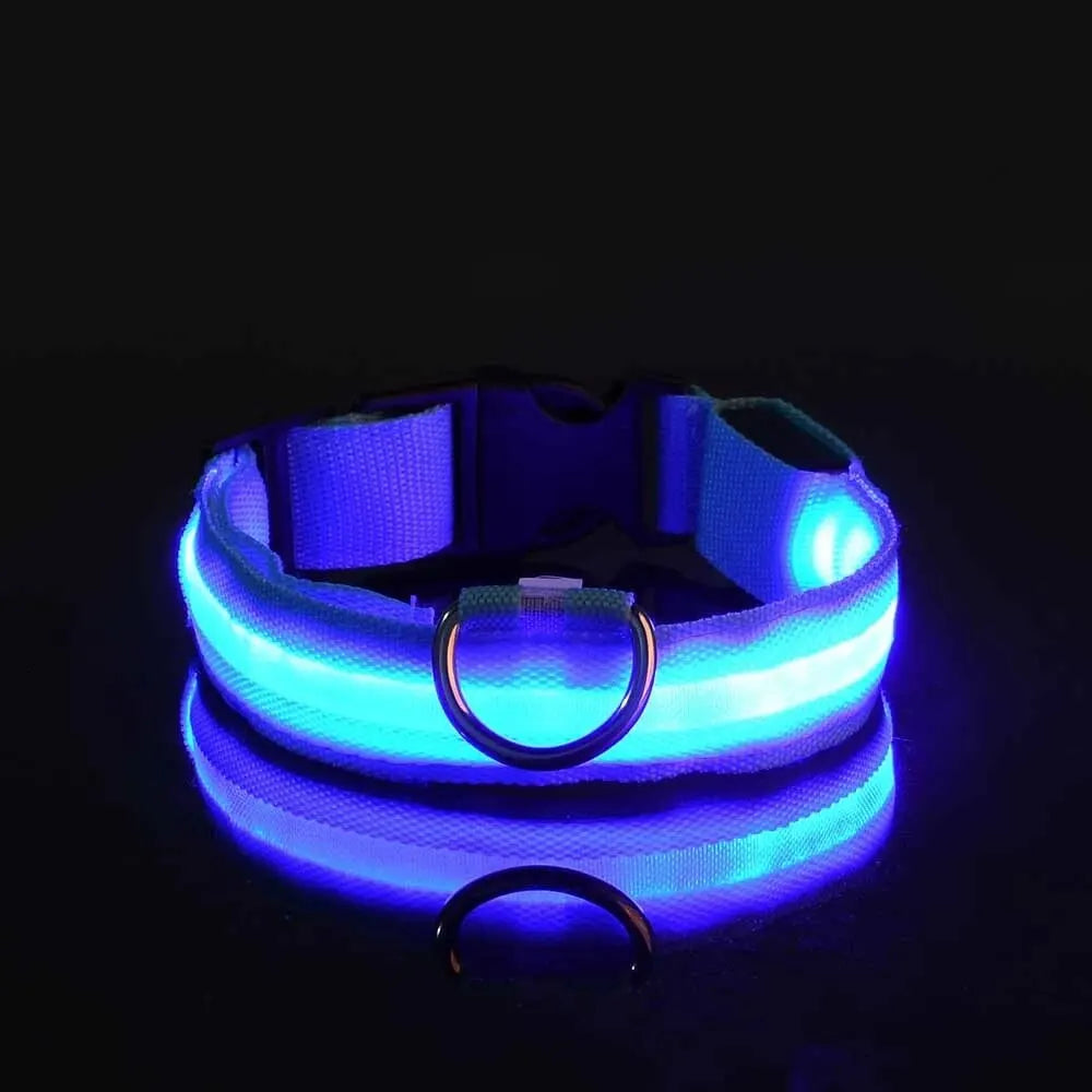 Pawlio LED Safety Dog Leash — Be Seen on Night Walks