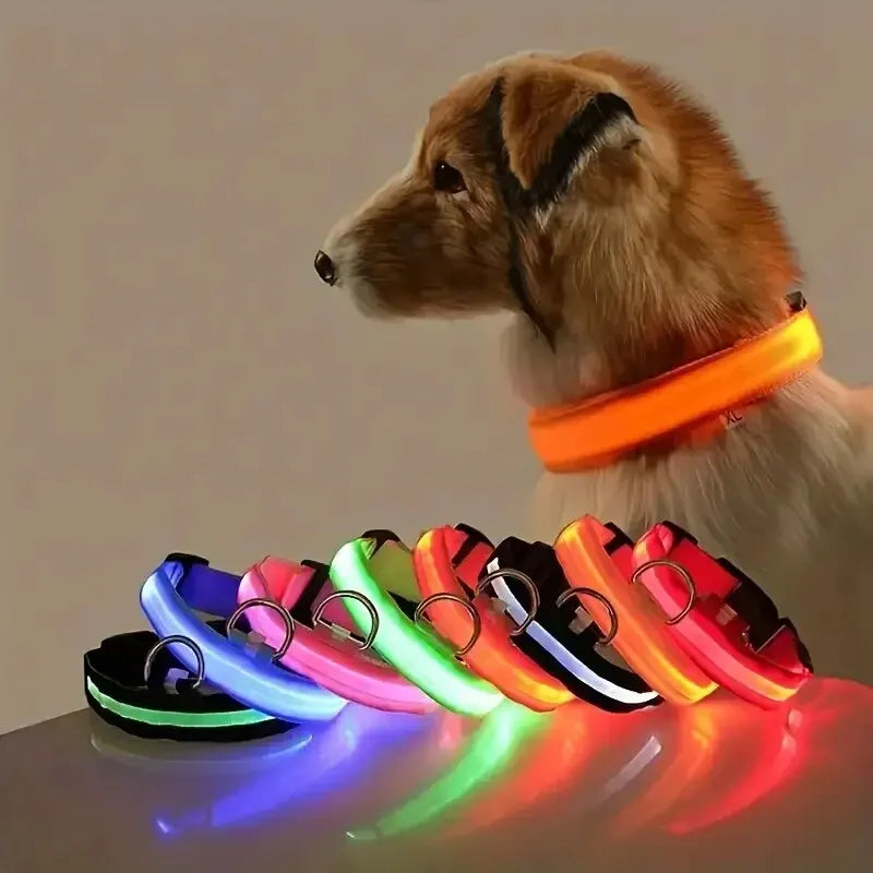 Pawlio LED Safety Dog Leash — Be Seen on Night Walks