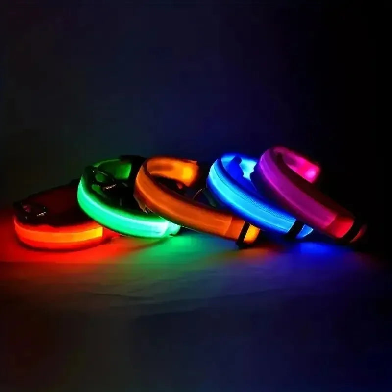 Pawlio LED Safety Dog Leash — Be Seen on Night Walks